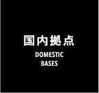 DOMESTIC BASES